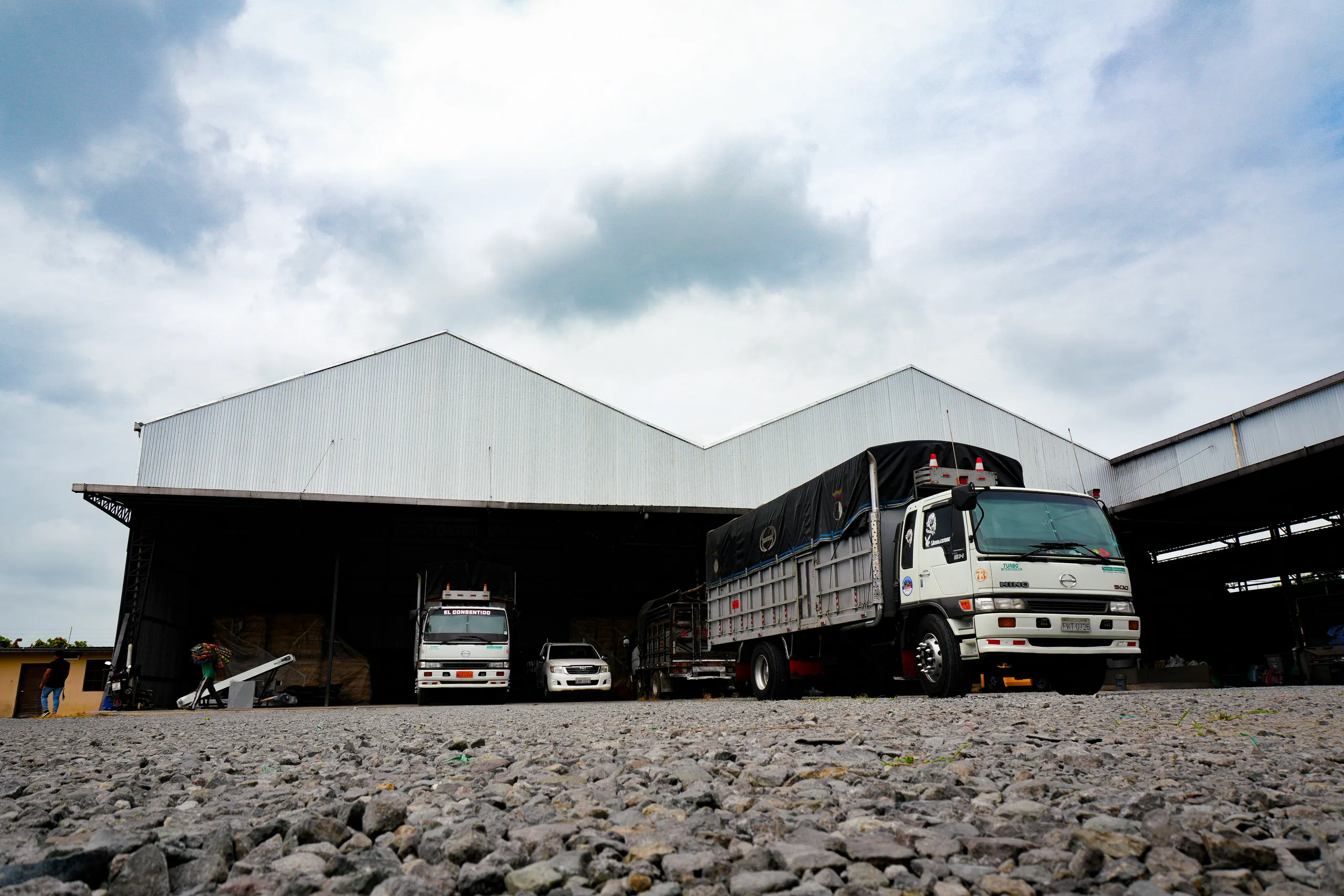 Exportación
